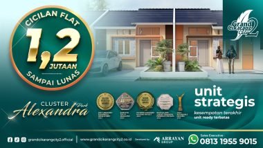 whatsapp image 2025 11 15 at 15.47.01